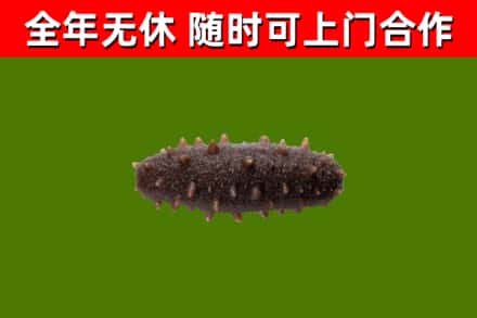 慈利烟酒回收干海参.jpg